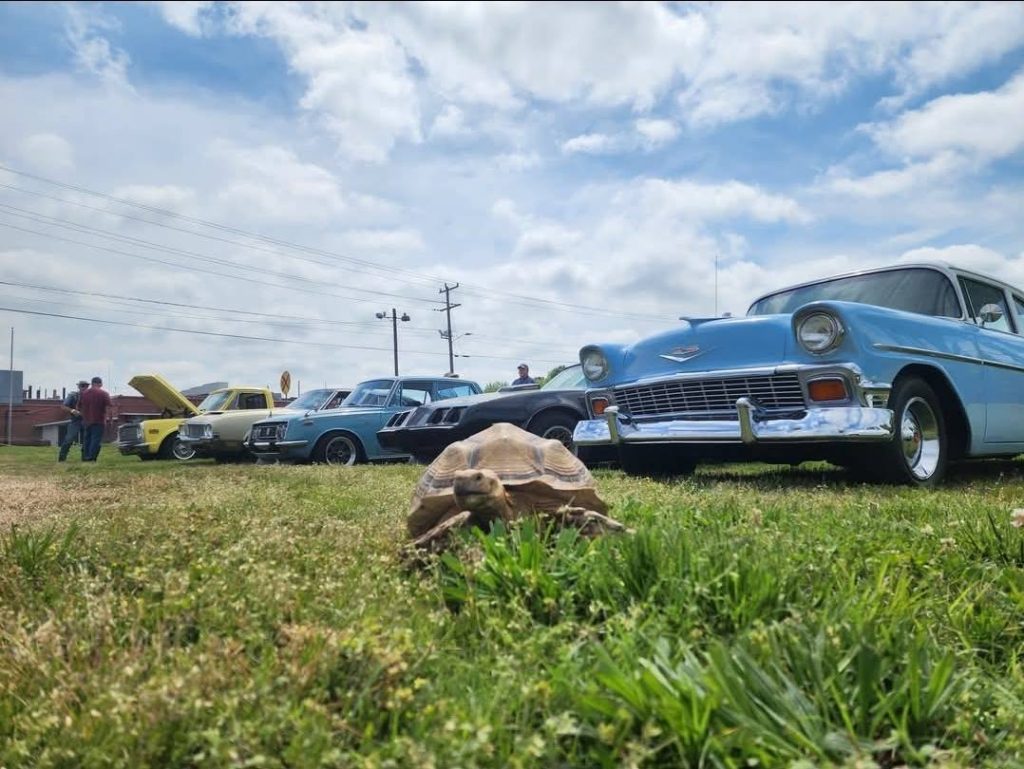 Tank at a car show