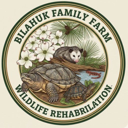 Bilahuk Family Farm Logo